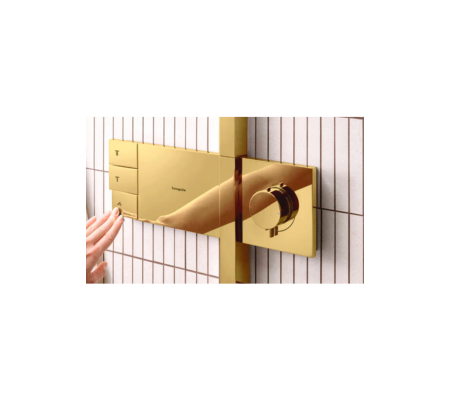 Hansgrohe RAINDANCE ALIVE 淋浴柱